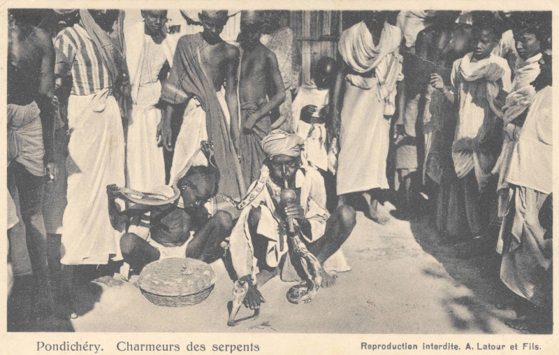 15-15 - Pondichery - charmeur de serpent - 2